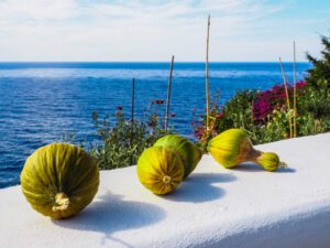 Barely Scratching the Surface of Ikaria