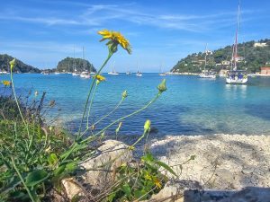 Arrival on Paxos
