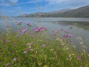 Circumnavigating the Koutavos Lagoon